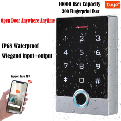 WiFi Tuya IP68 Waterproof Double Door TF2 Package Door Access Control ...