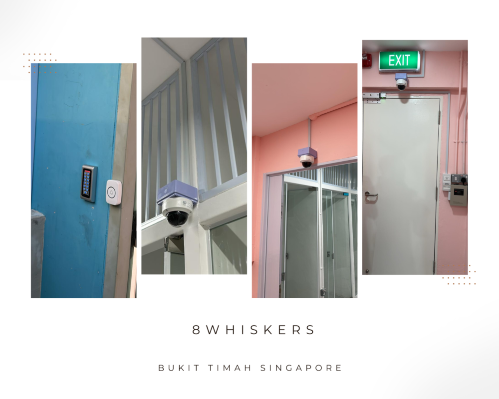 8whiskers @ Bukit Timah Singapore (1)
