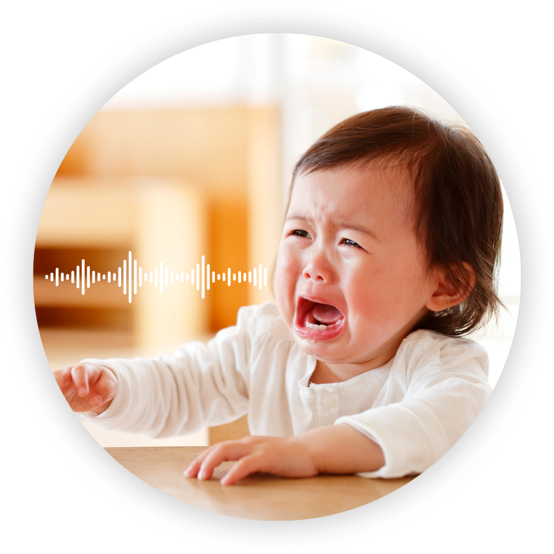 TPlink 2K 4MP QHD WiFi PT CCTV Solution Smart AI Detection (4)