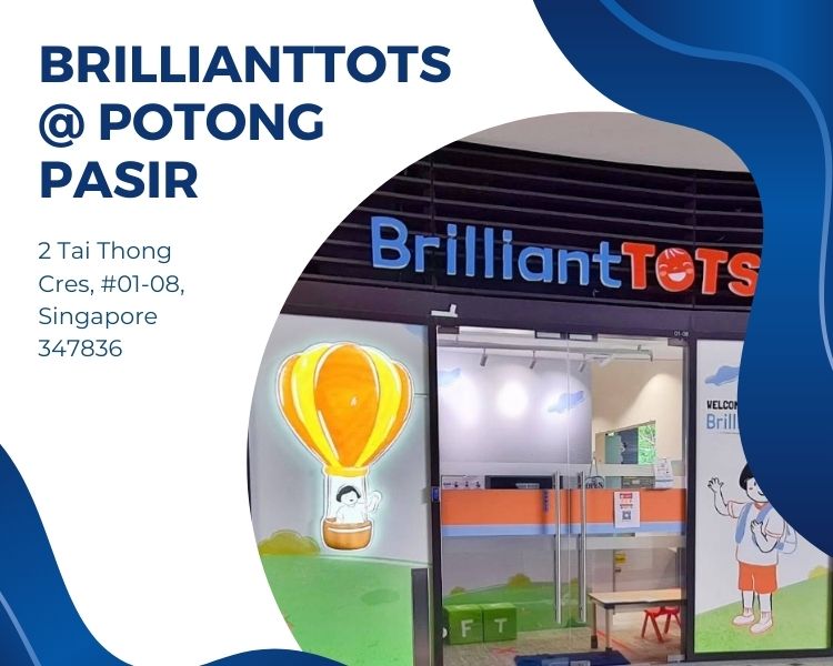 Multi Hikvision IP POE Digital CCTV Camera System Iroyal Client Installation – BrilliantTOTS Potong Pasir