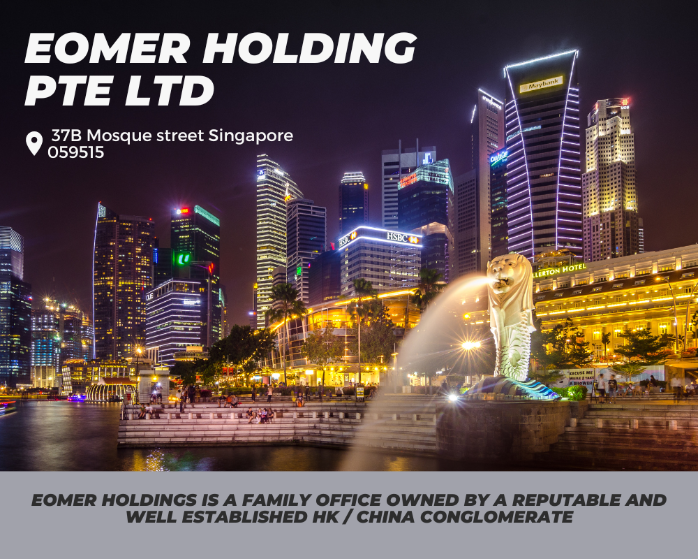 Eomer Holding Pte Ltd @ Mosque Street Singapore